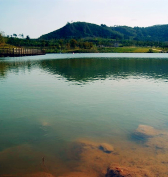 Css Template Preview