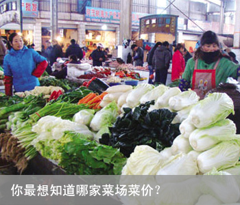 Css Template Preview