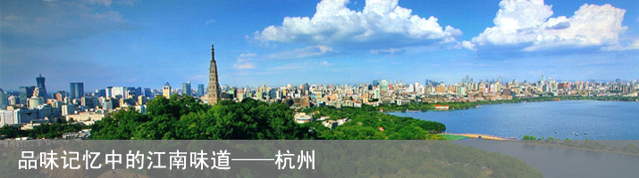 Css Template Preview