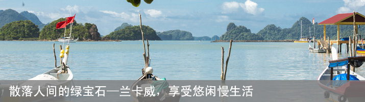 Css Template Preview