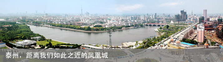 Css Template Preview