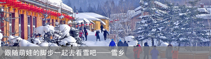 Css Template Preview