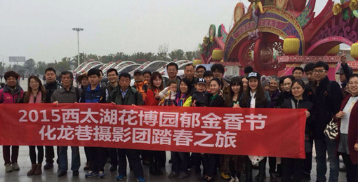 Css Template Preview