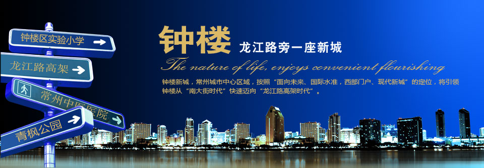 钟楼新城,龙江路旁的一座新城